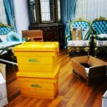 WhatsApp Görsel 2012322-11-16 saat 16.41.10