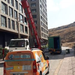 WhatsApp Görsel 203322-11-16 saat 16.41.28